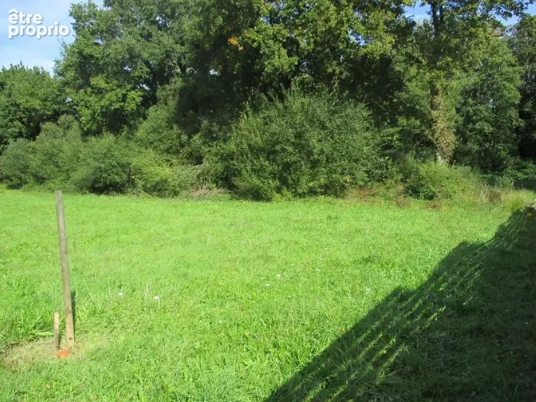 Terrain 2 348 m² à vendre à Sainte-Foy (85150) - photo 2