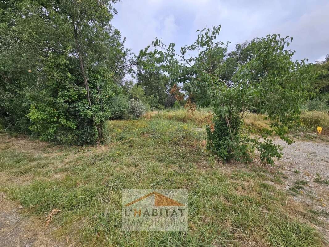 Terrain à SAINT-LYS