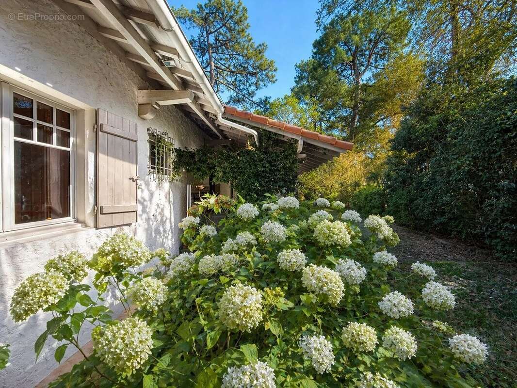 Maison à LE BOUSCAT