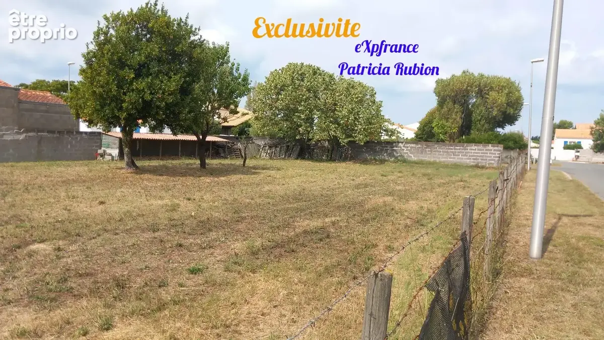 Terrain constructible  - Terrain à DOLUS-D'OLERON
