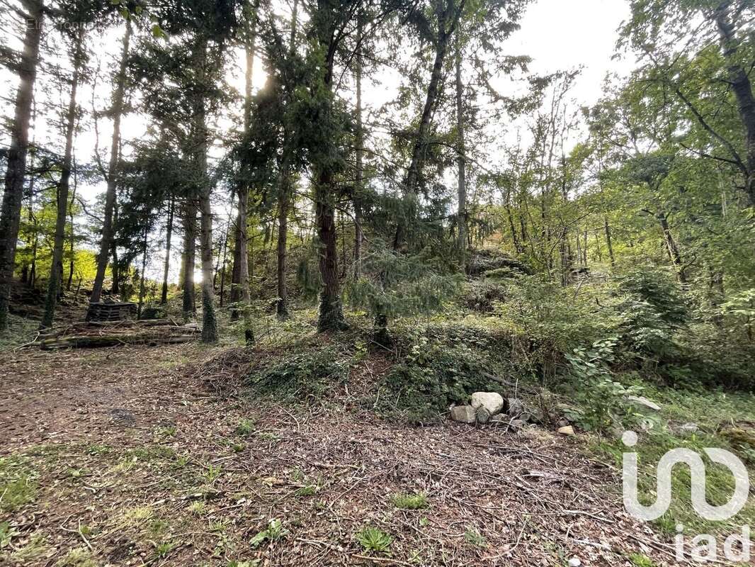 Photo 2 - Terrain à SAINT-PIERRE-COLAMINE