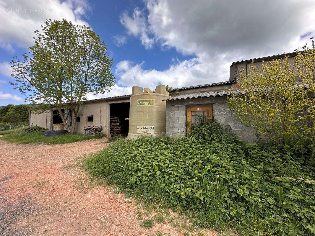 Maison À Vendre - photo 3
