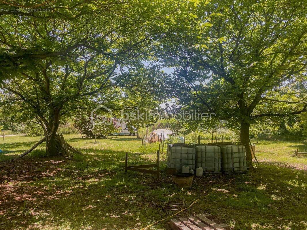 Maison de plain-pied avec terrain plat et arboré de 5 587 m² - photo 12