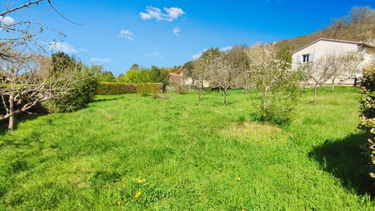 Terrain à MONTESQUIEU-VOLVESTRE