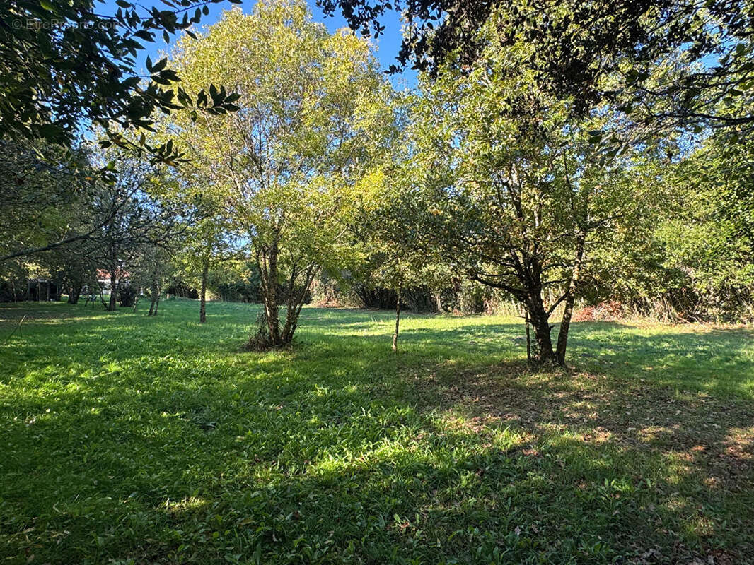 Maison à JAU-DIGNAC-ET-LOIRAC