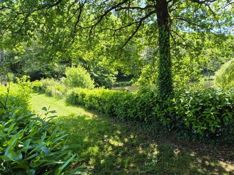 Terrain à PRESSIGNAC