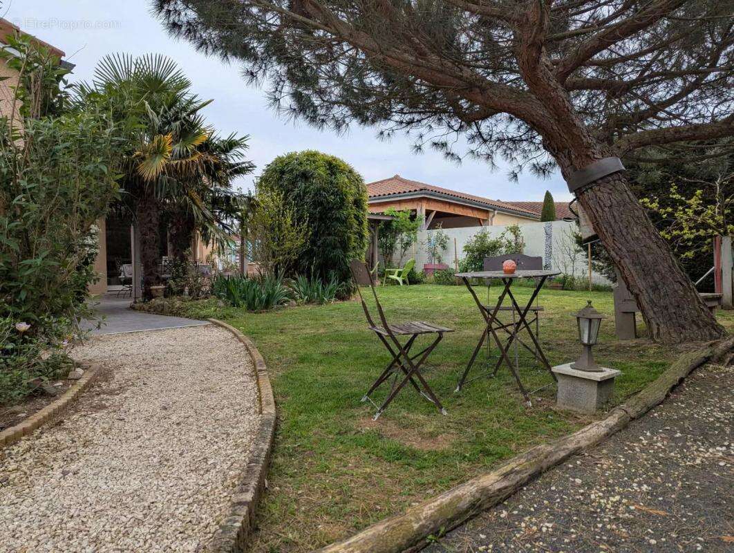 Maison à VEAUCHETTE