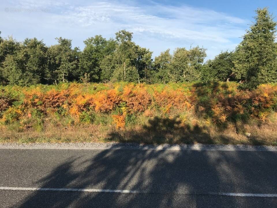 Terrain à LE TEMPLE