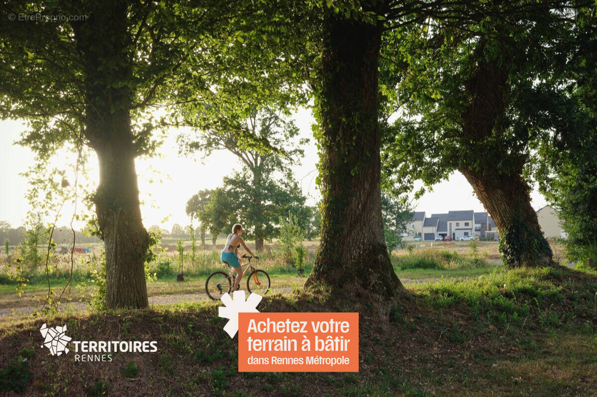 Terrain à LE VERGER