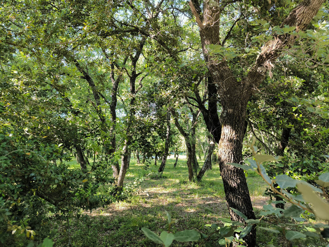 Terrain à SAINT-SIFFRET