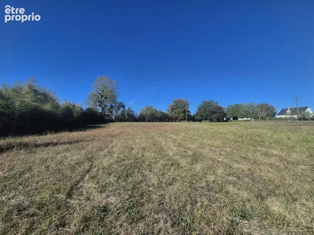 Terrain 3 998 m² à vendre à Chouzy-Sur-Cisse (41150) - photo 3
