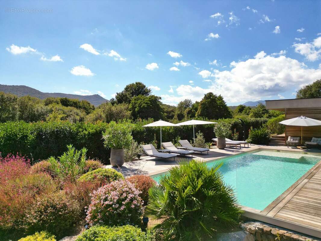 Maison à PORTO-VECCHIO