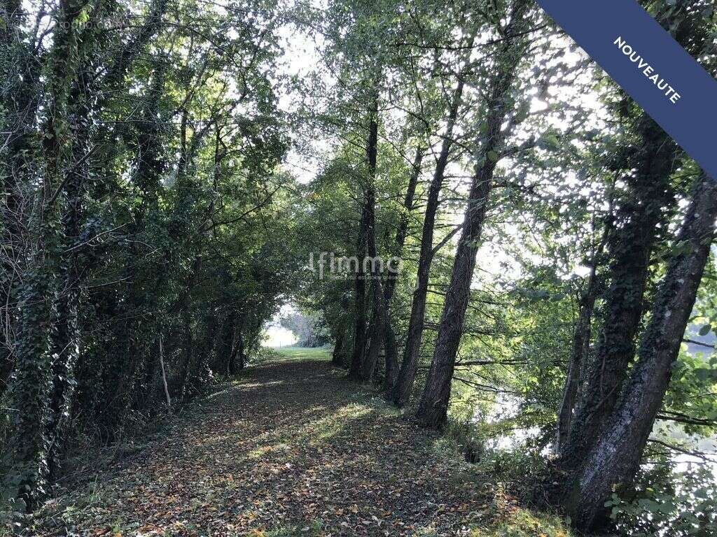 Maison à BUSSIERE-GALANT