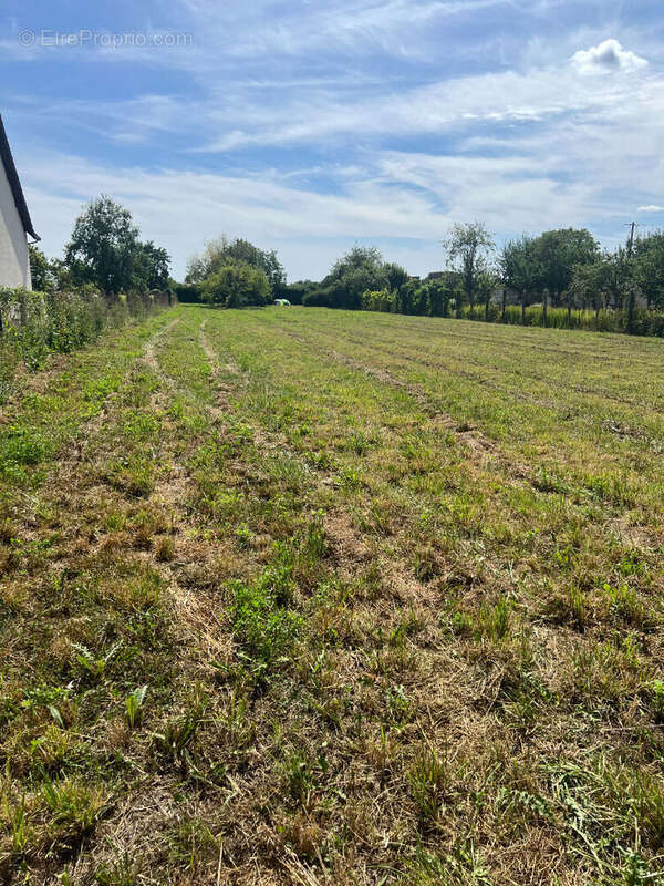 Terrain à MONTS-SUR-GUESNES