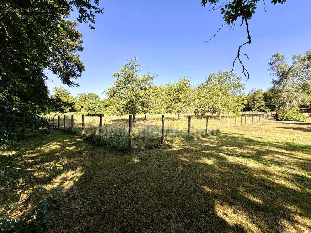 Propriété de caractère avec 2,5 hectares de parc, forêt et prairie – La Houblonnière – À 10 minutes de Lisieux - photo 25