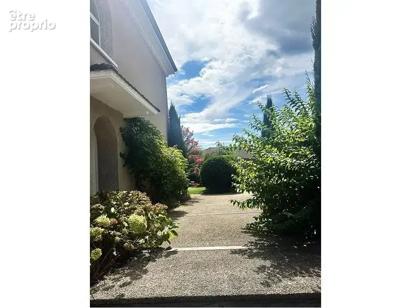 Maison 239 m² à Feurs  - photo 3