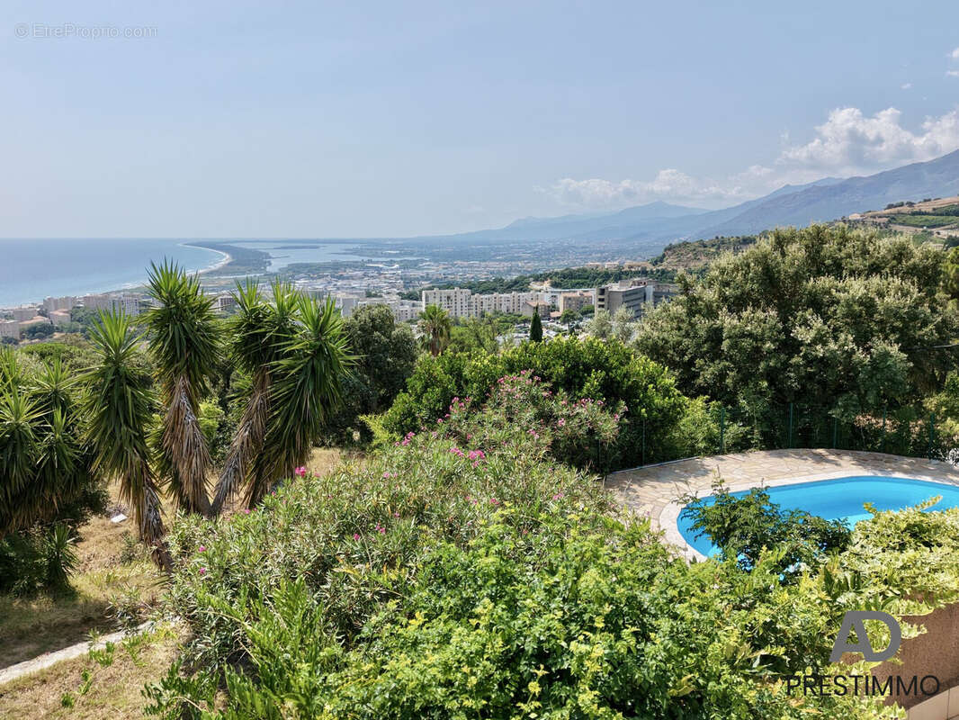 Maison 215 m² à San-Martino-Di-Lota  - photo 4