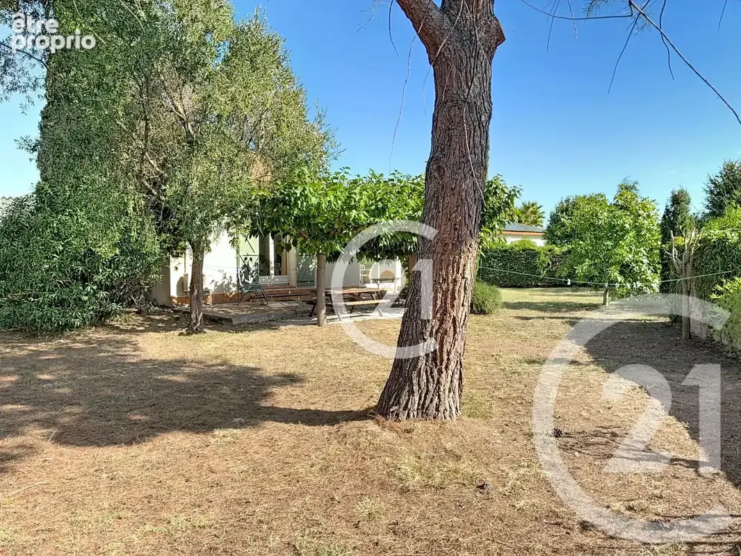 Maison 4 pièces 140 m² à vendre à Montescot (66200) - photo 7