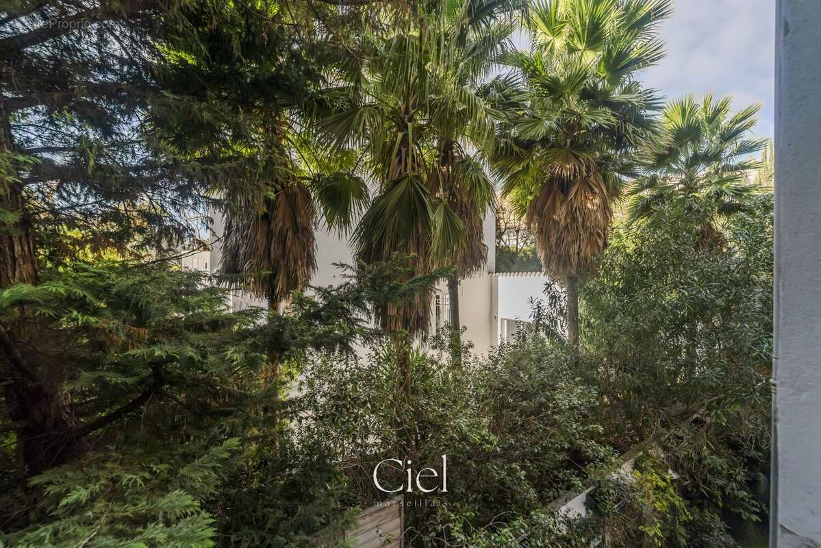 Appartement à MARSEILLE-8E
