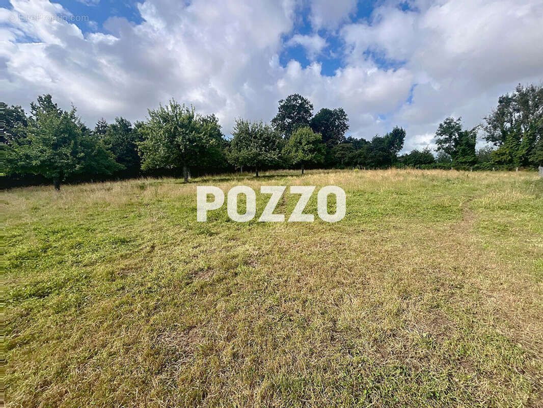 Terrain à SAINT-PLANCHERS