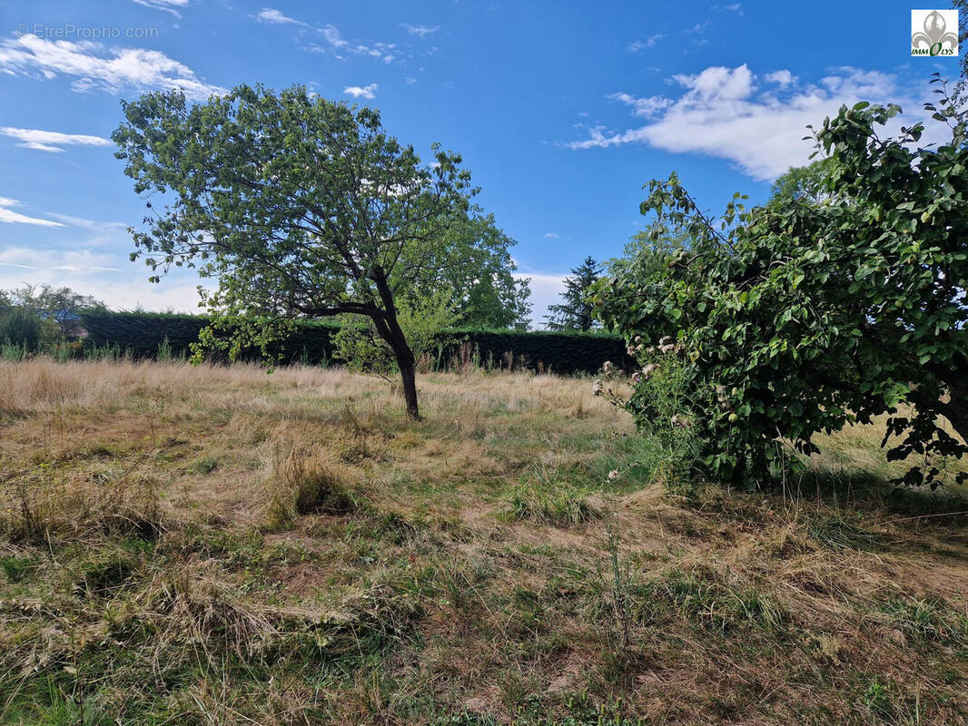 Terrain à RUFFEY-LES-BEAUNE