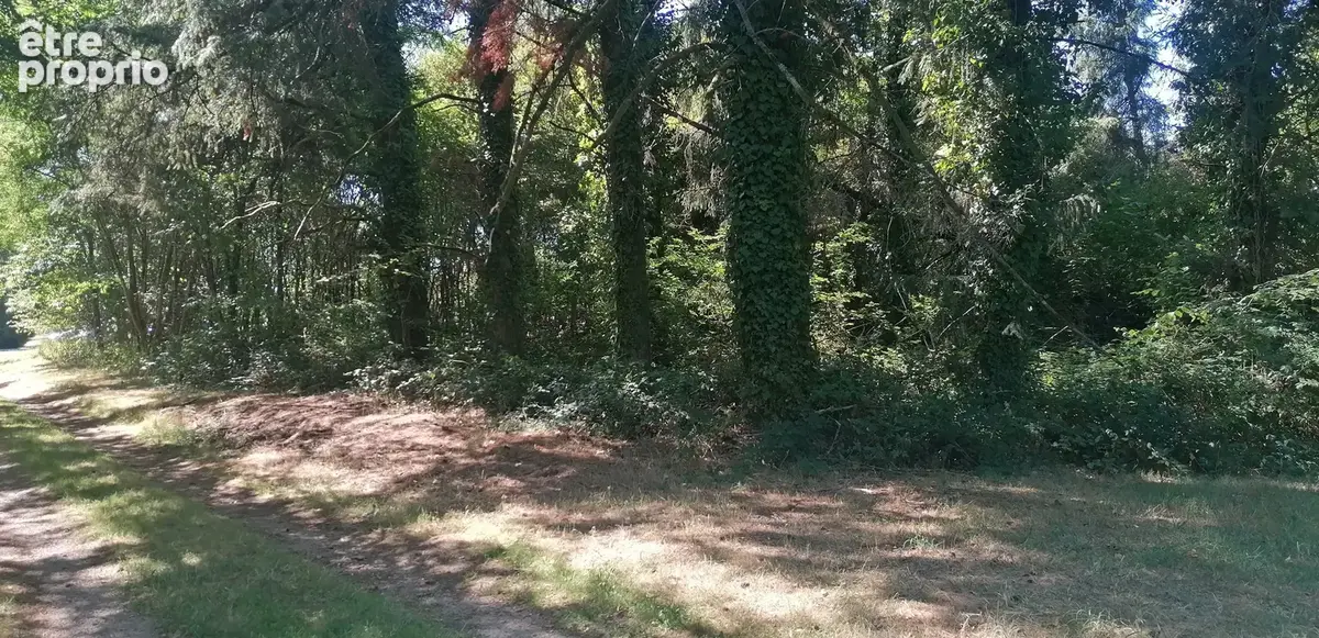 Terrain de 1810 m² à Piégut-Pluviers - photo 8