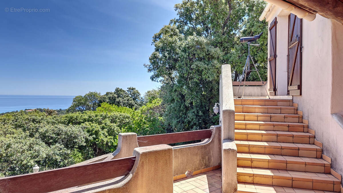 Maison à PORTO-VECCHIO