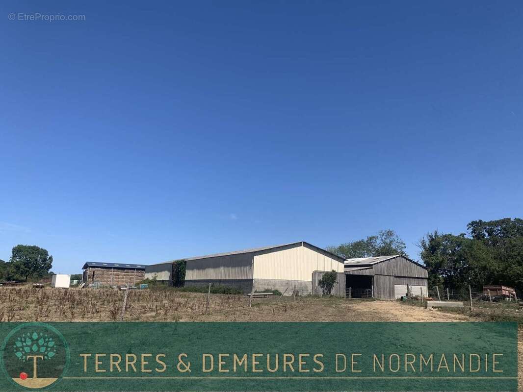 A VENDRE en NORMANDIE dans le département du CALVADOS région LE MOLAY-LITRY (14330) une exploitation agricole herbagère d'une su - photo 14