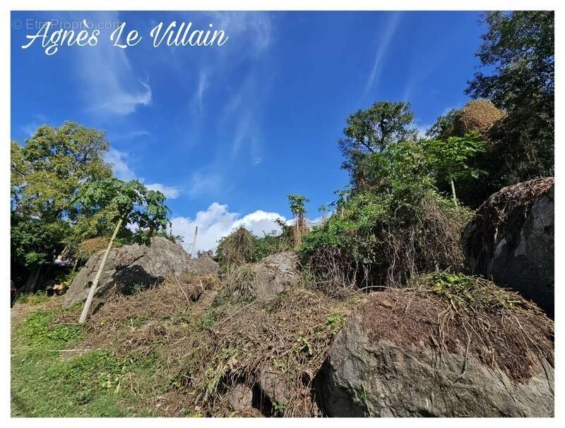Terrain à POINTE-NOIRE
