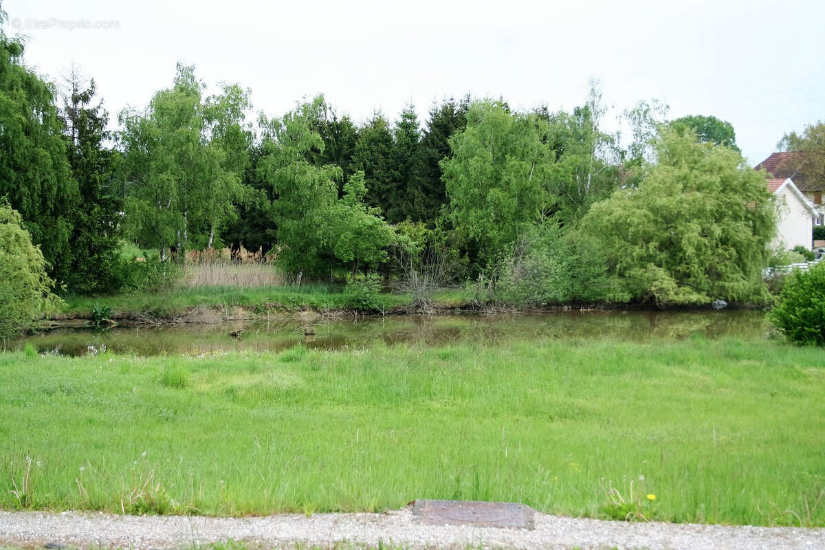 Terrain à FOUSSEMAGNE