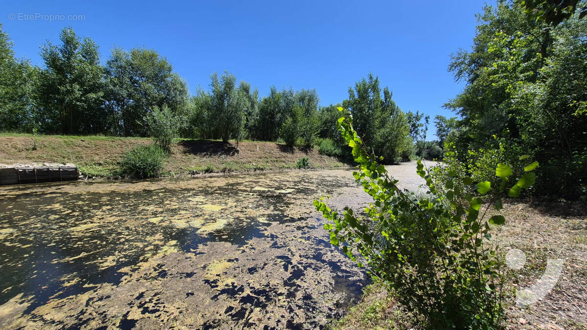 Terrain à MAREUIL-SUR-AY