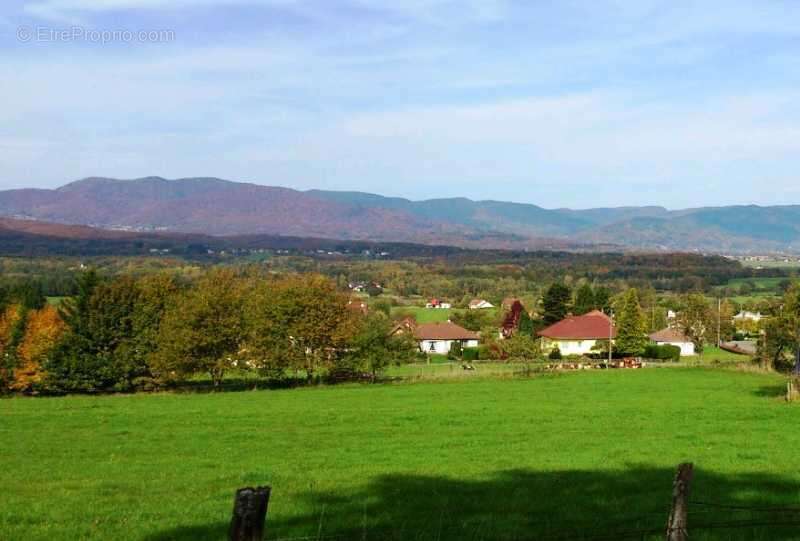 Terrain à EVETTE-SALBERT