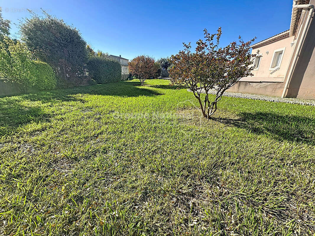 Maison à CHEVAL-BLANC