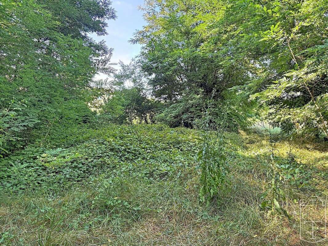 Exclusivite logement atypique - photo 3