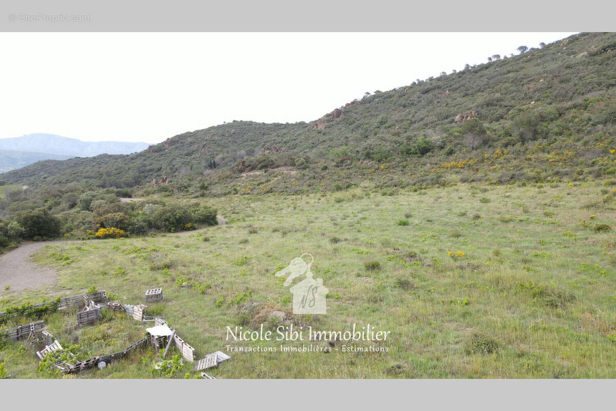 Terrain à MONTNER