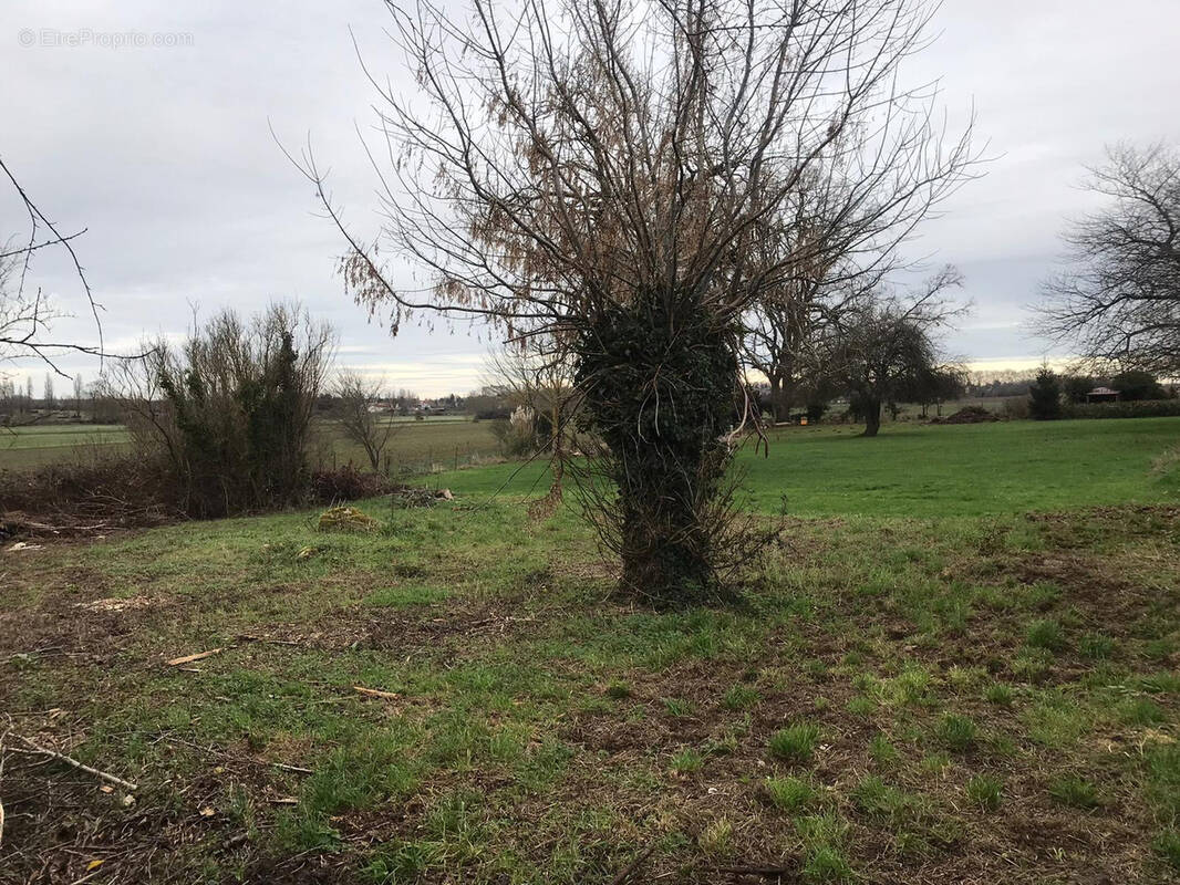 Terrain à ROZAY-EN-BRIE