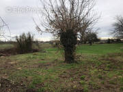 Terrain à ROZAY-EN-BRIE