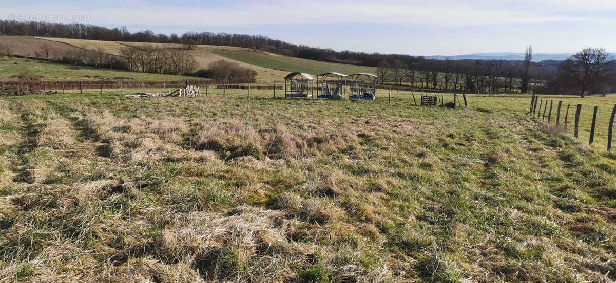 Terrain à SAINT-SYLVESTRE-PRAGOULIN