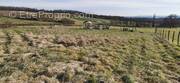 Terrain à SAINT-SYLVESTRE-PRAGOULIN