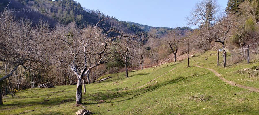 Maison à DORNAS