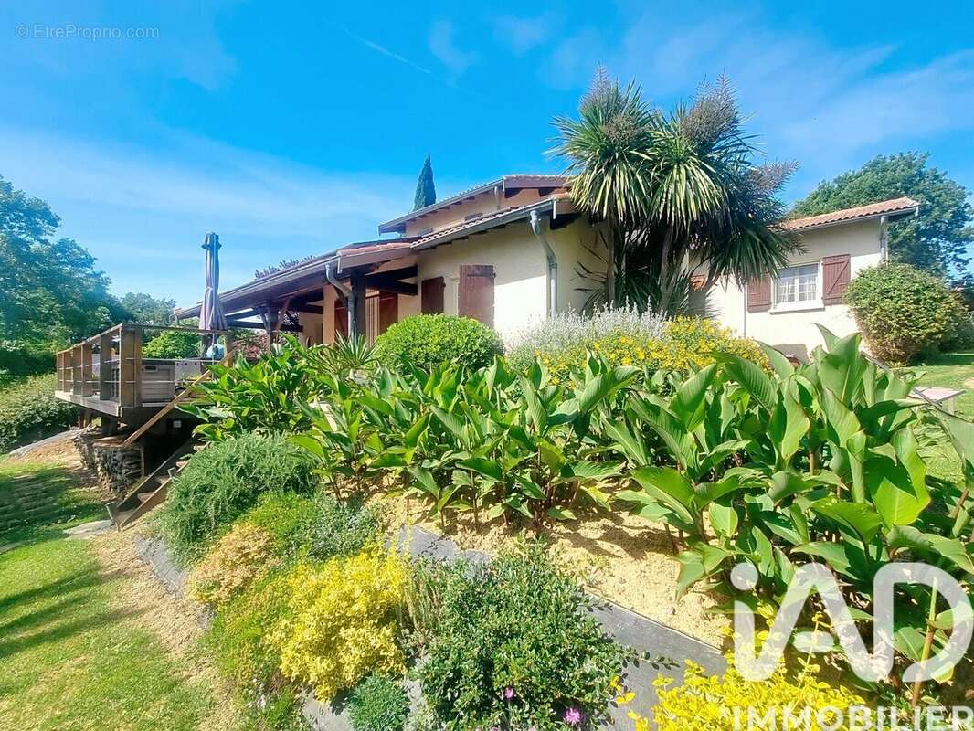 Photo 4 - Maison à L'ISLE-JOURDAIN