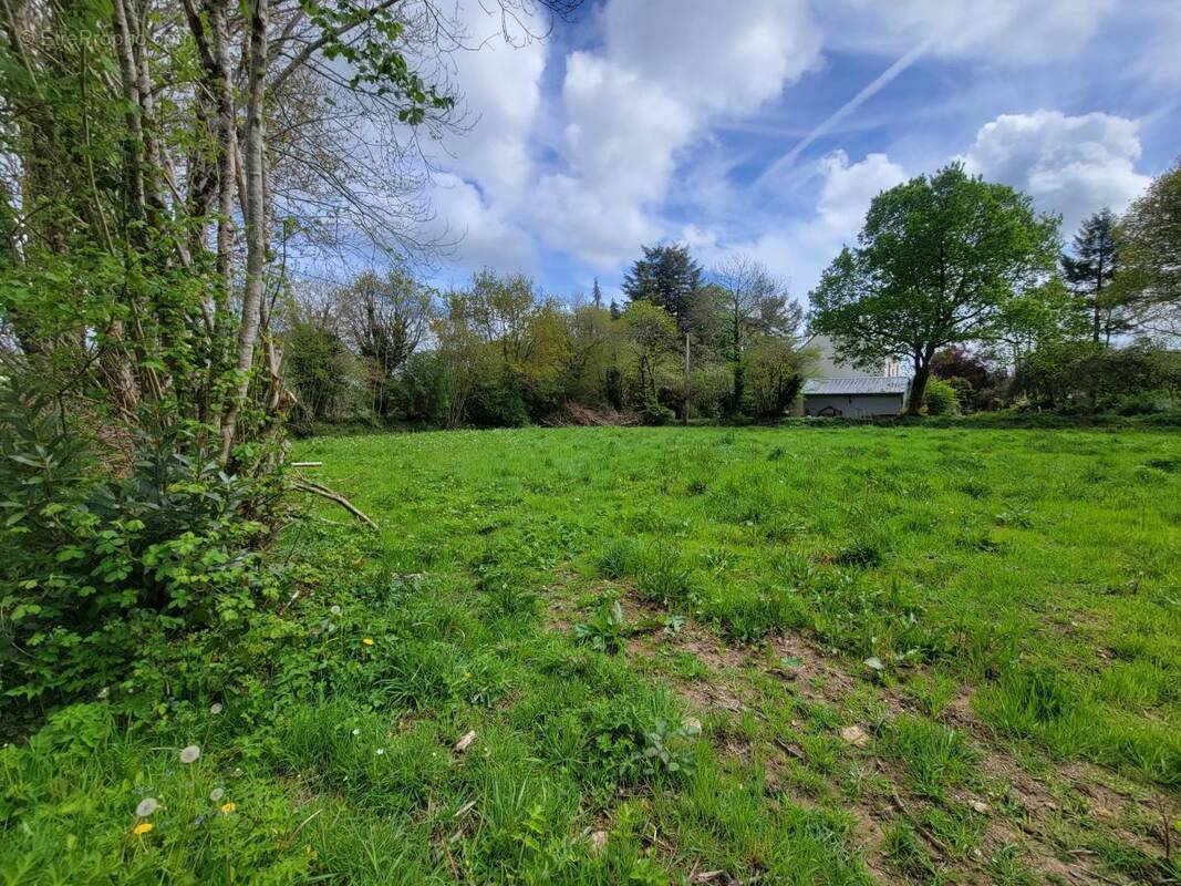 Terrain à LANGONNET