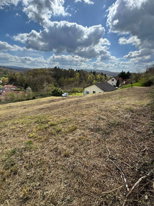 Terrain à ROUTELLE