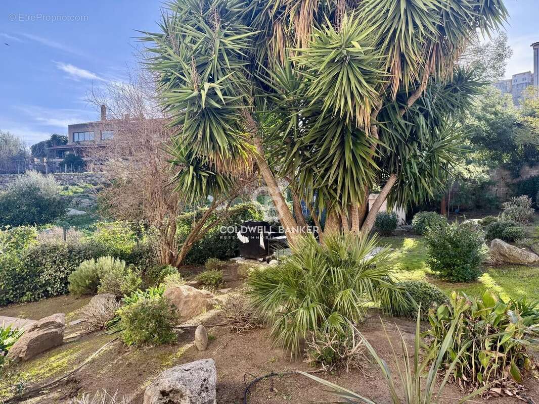 Appartement à SANTA-REPARATA-DI-BALAGNA