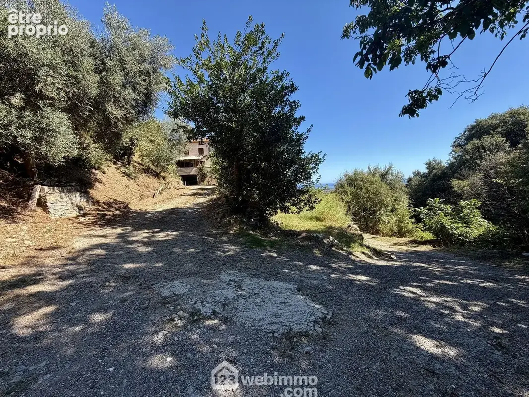 Un terrain qui mesure 3000m2