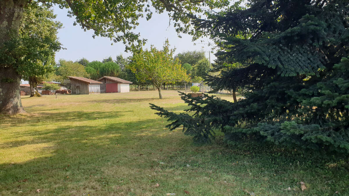 MEZOS,  au calme - photo 6