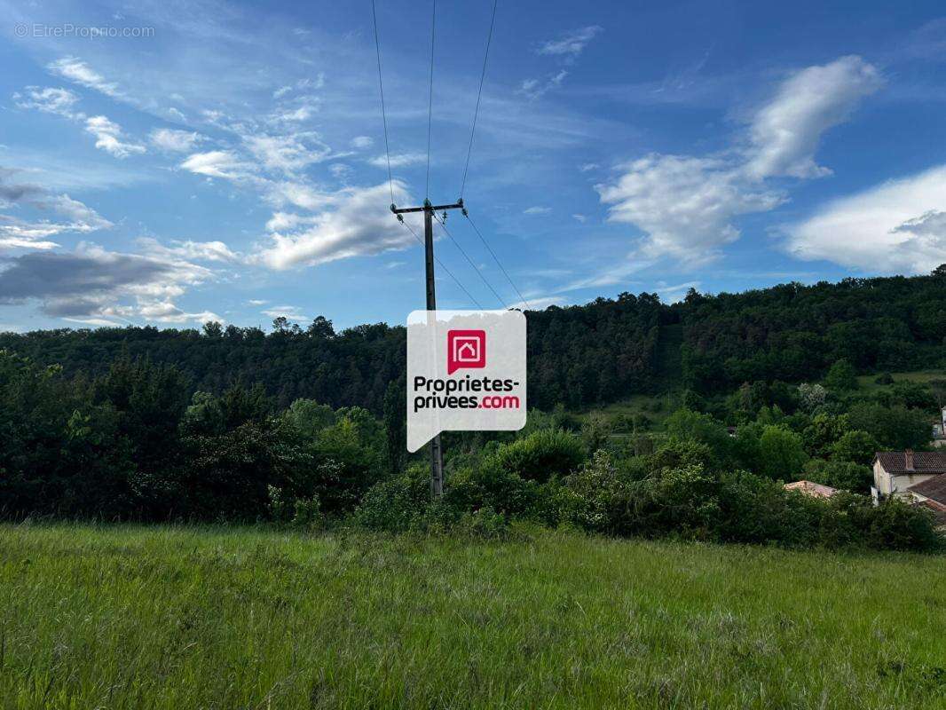 Beau terrain constructible et arboré de 3350 m² situé proche du bourg de SAINT-PAUL-DE-SERRE (24380) - photo 6