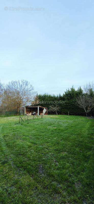 Maison à SAINT-ALBAN