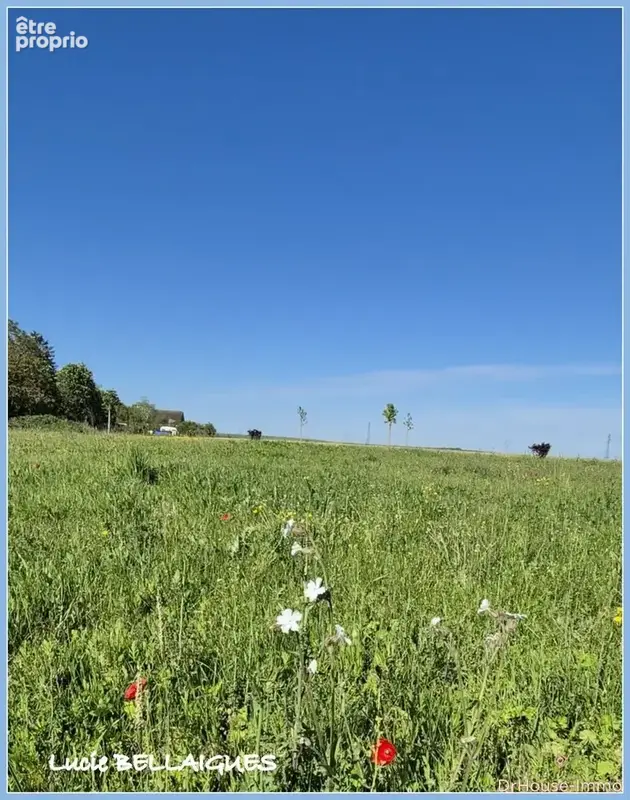 Terrain 1 398 m² à vendre à Onjon (10220) - photo 40