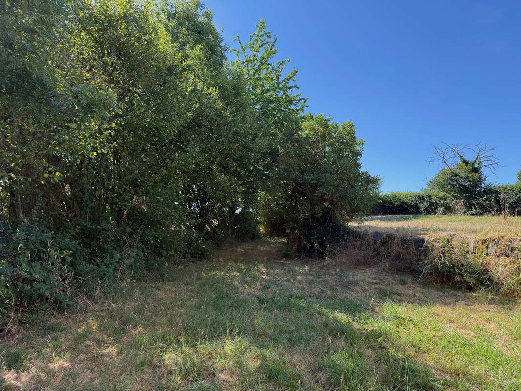 Auv 1226 : Maison typique, grange, puits, calme, vue, 3 849m2 - photo 84
